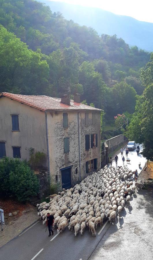 Auberge Cevenole Valleraugue Zewnętrze zdjęcie