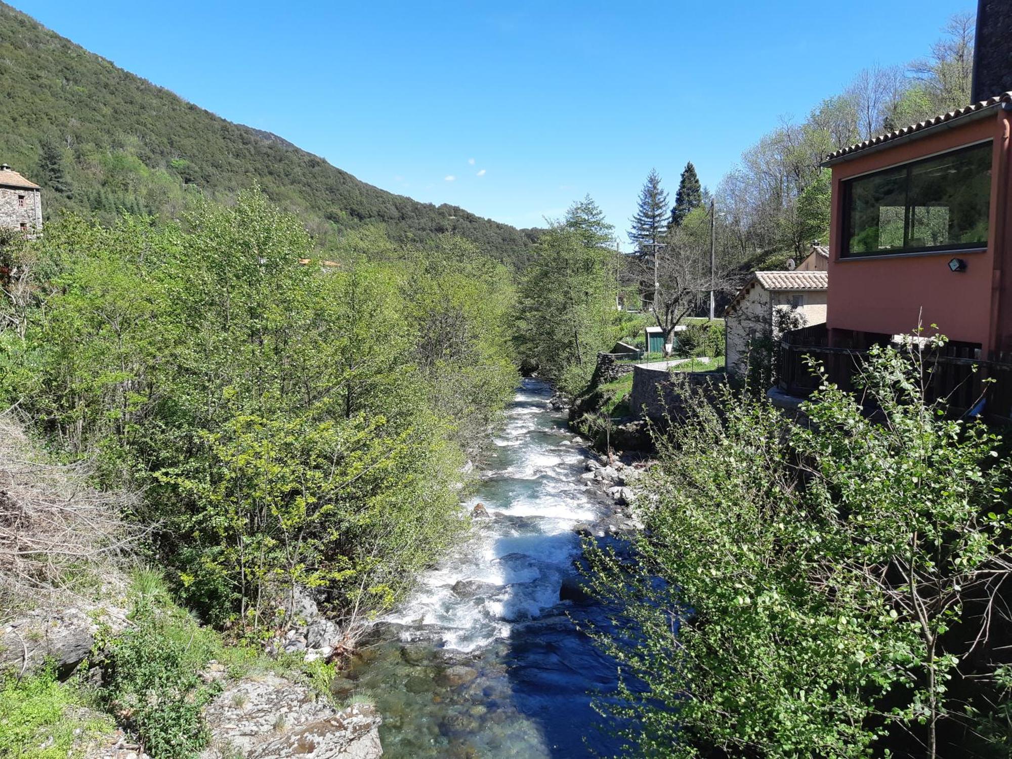 Auberge Cevenole Valleraugue Zewnętrze zdjęcie
